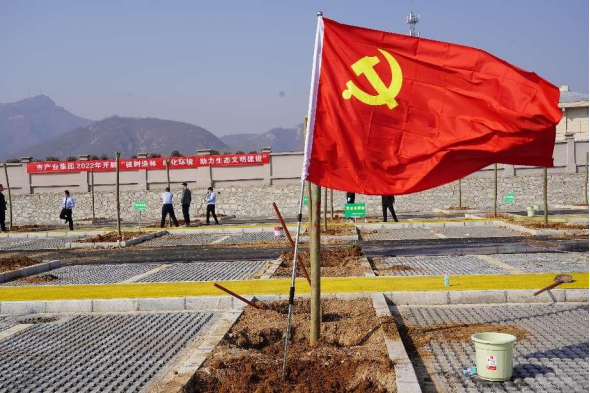 植樹節(jié)活動新聞稿19.png 植樹節(jié)活動新聞稿19.png