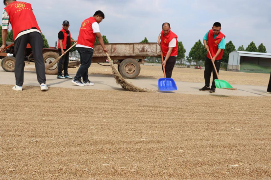 6.2展現(xiàn)國(guó)企責(zé)任擔(dān)當(dāng) 全力助民搶收夏糧(新聞稿)206.png 6.2展現(xiàn)國(guó)企責(zé)任擔(dān)當(dāng) 全力助民搶收夏糧(新聞稿)206.png